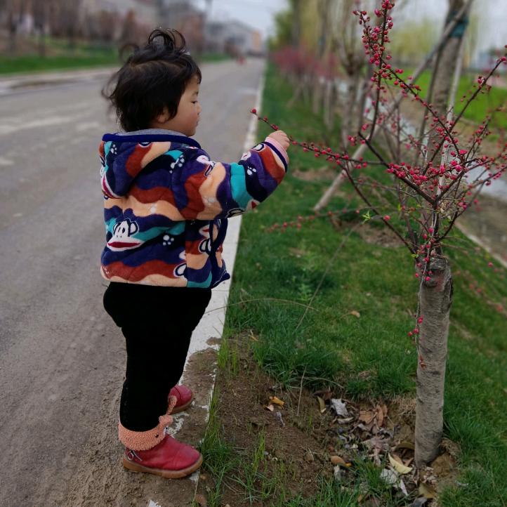 晨勤安(ღ˘⌣˘ღ)