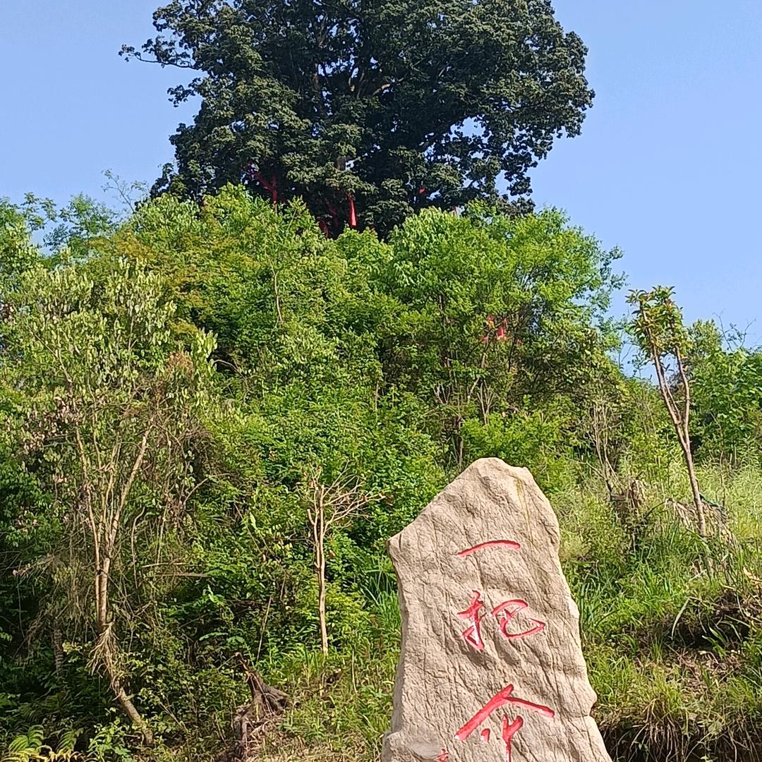 高架桥基础工程文城哥