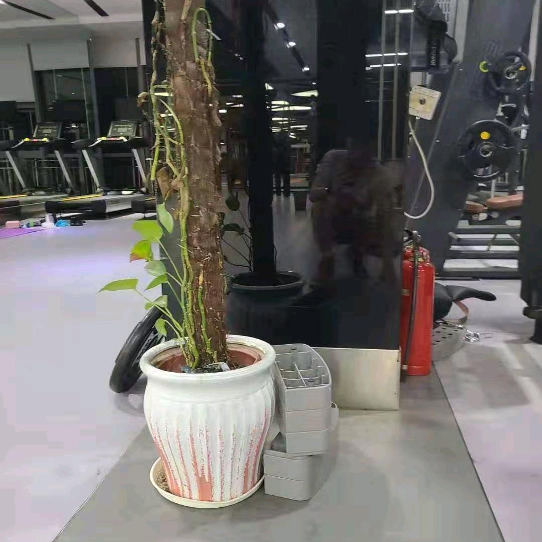 啊哈～