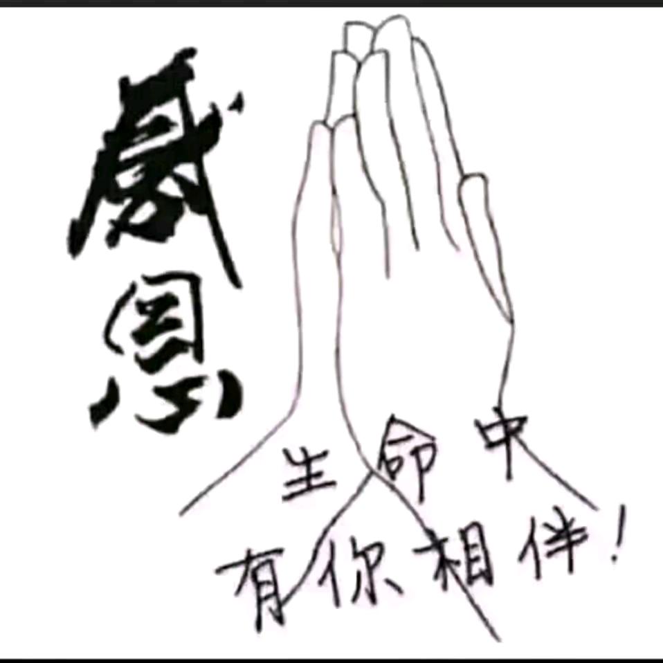 坚持不需要理由