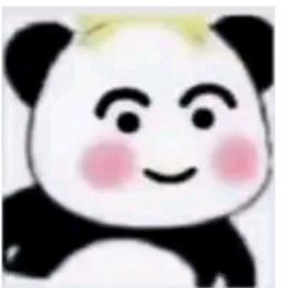 ⭐我家的猫⭐