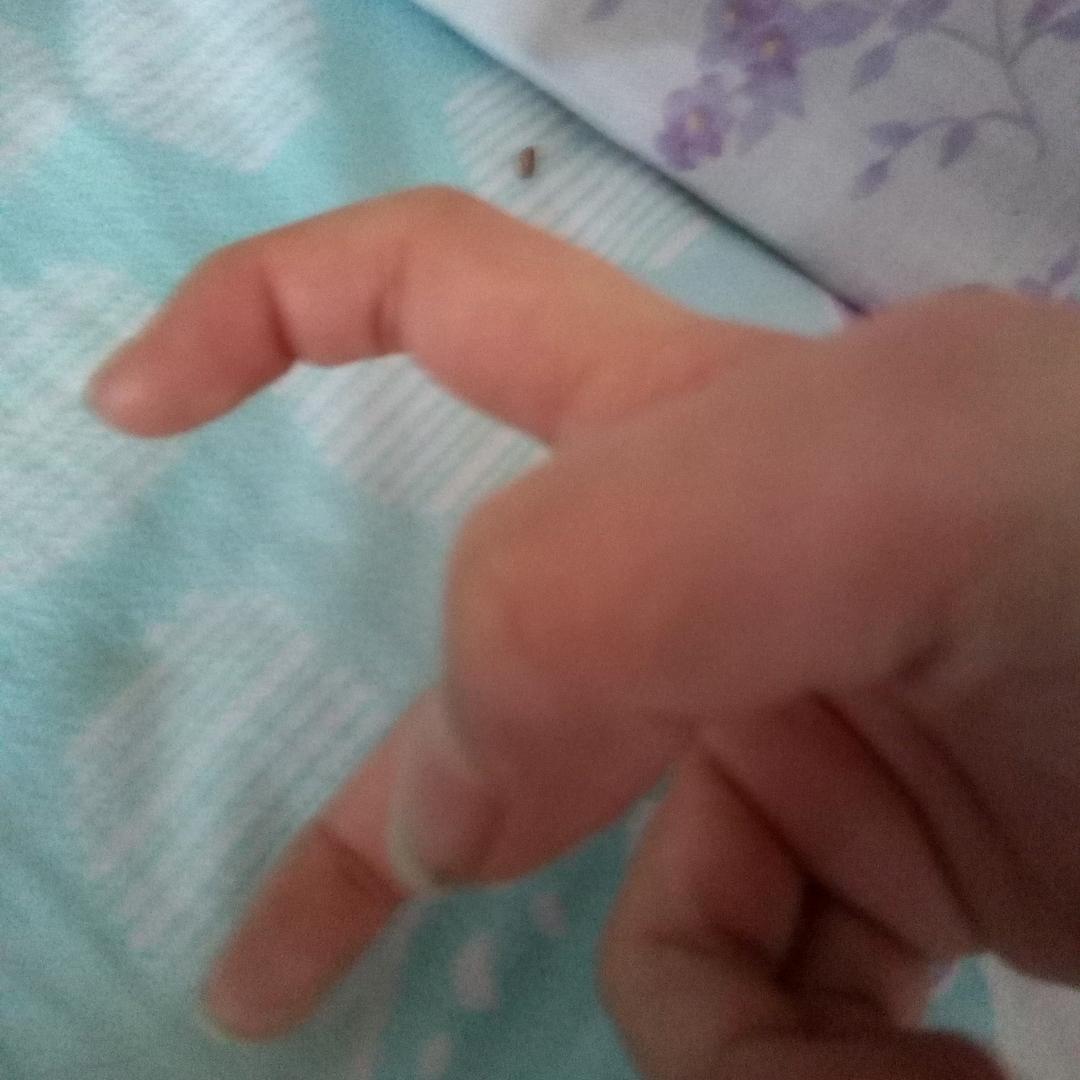 聚缘阁