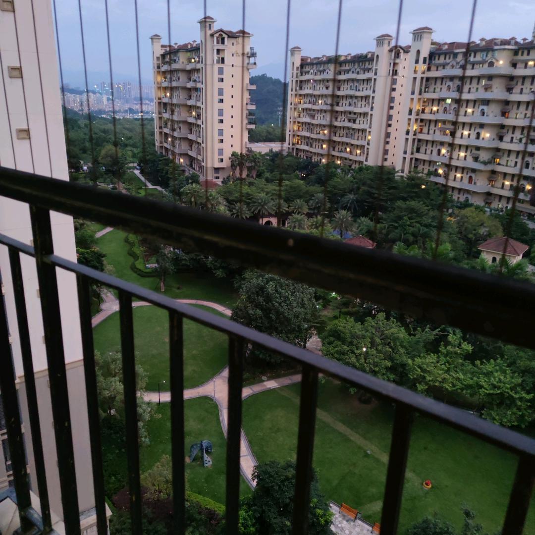 孤独的人漂泊的心