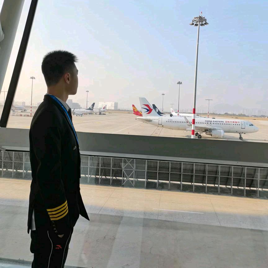 不会✈️的云南金孔雀