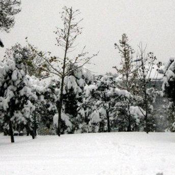 下了一场好大的雪