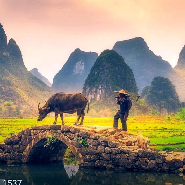 桂湖渔翁