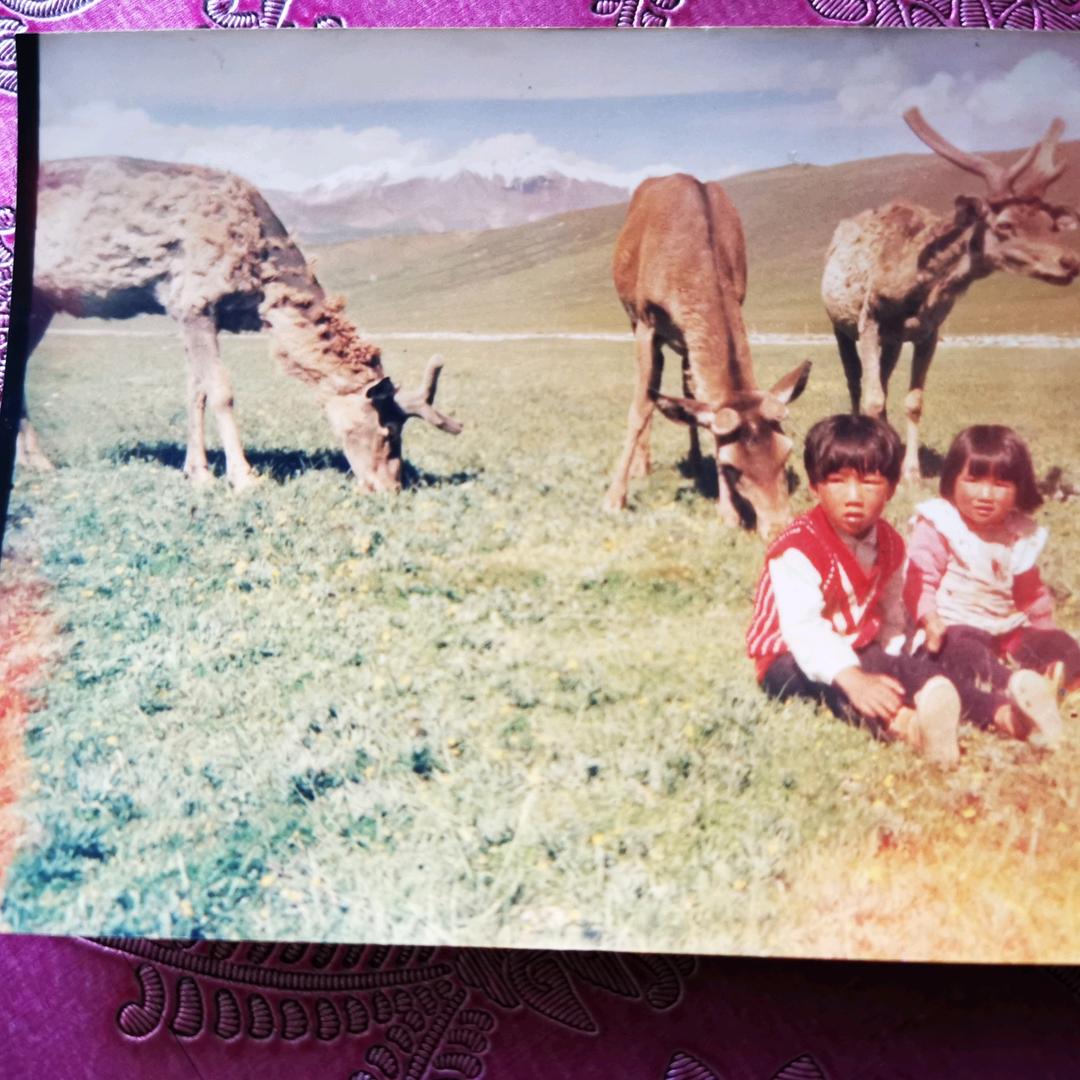 汪洋大海🥜🥜