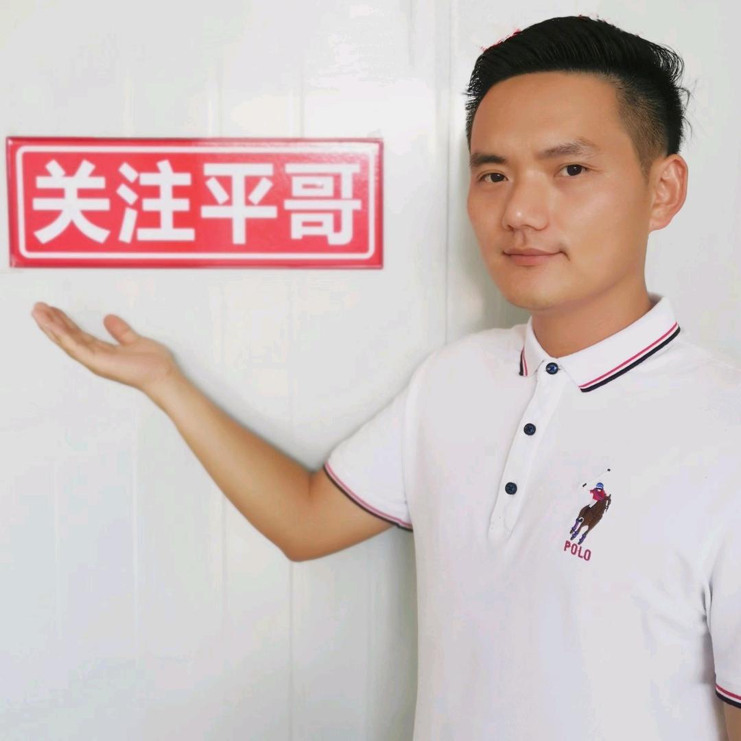 平哥说车