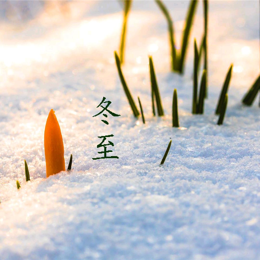 精诚所至