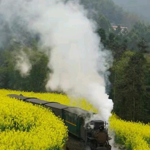 犍为县微事通信息咨询服务部（犍为微生活）