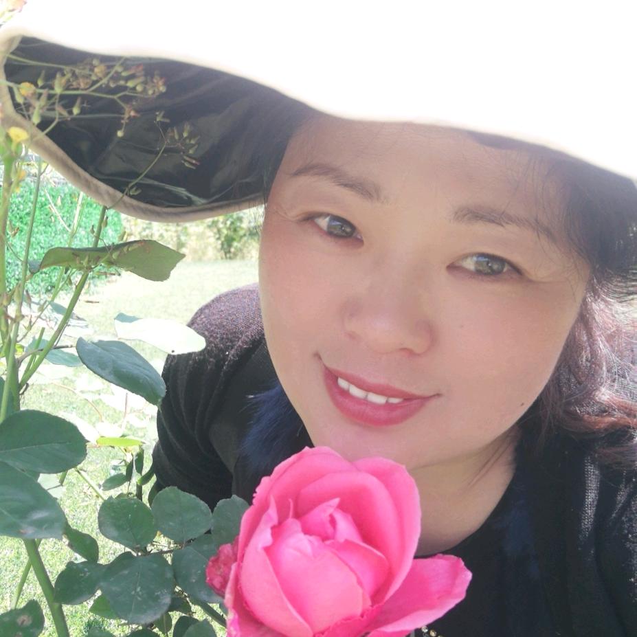 不恋过往