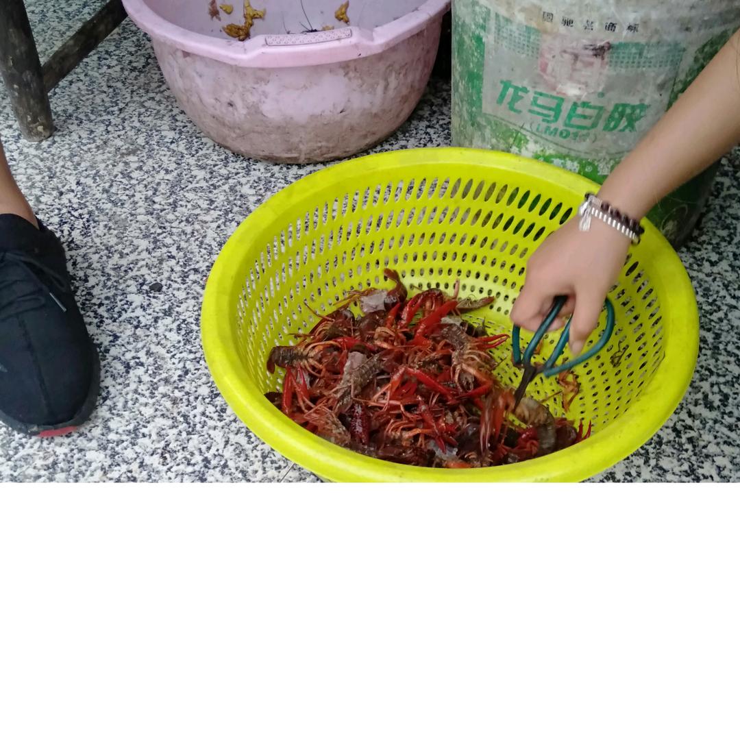 熊哥