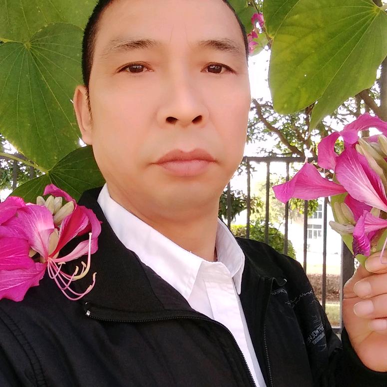 新年