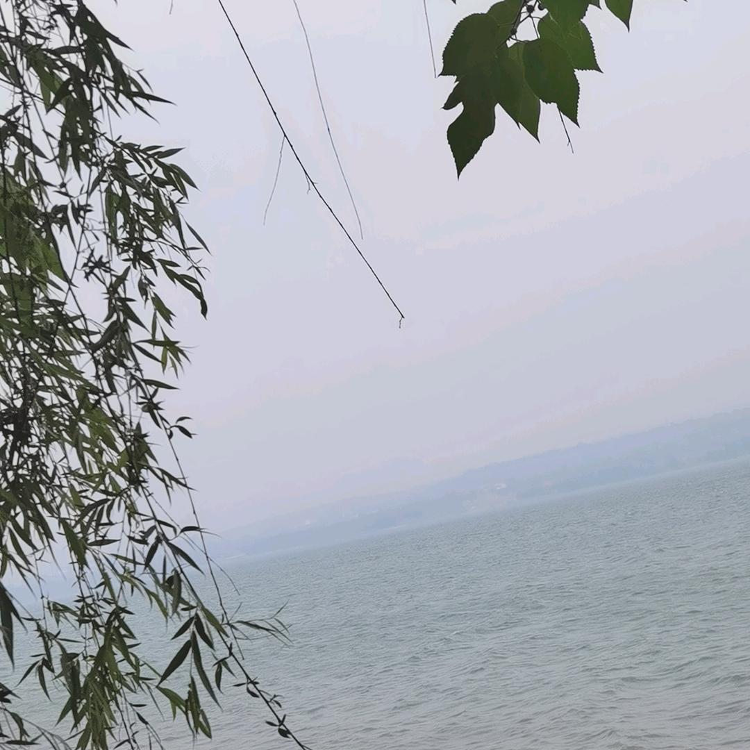 名汇欧蜜莎