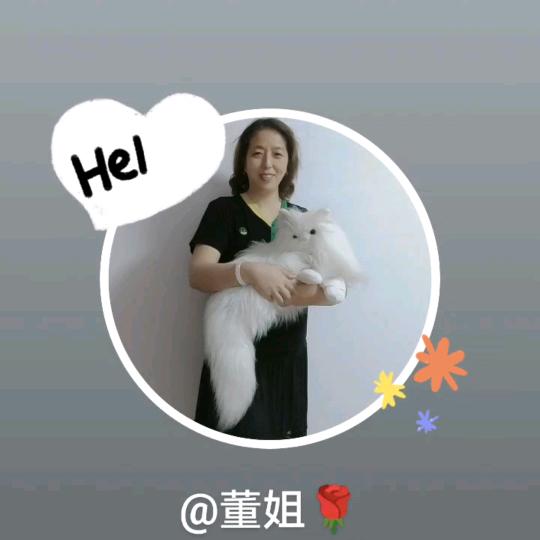董姐🌹