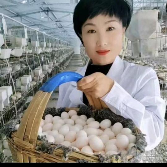 天羽鸽坊商贸中心