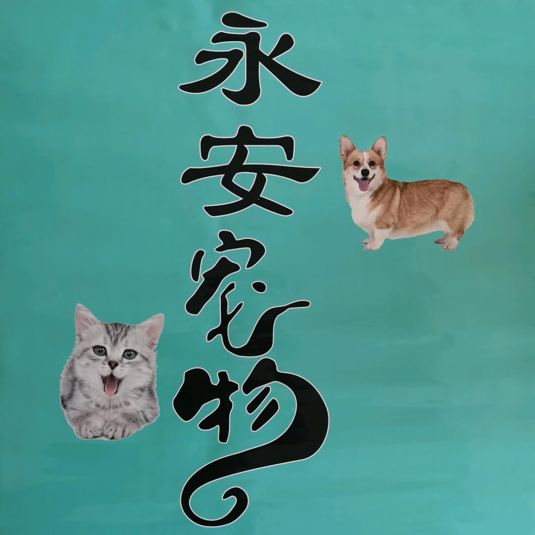 @9阳🇨🇳农牧🌈🌈🌈