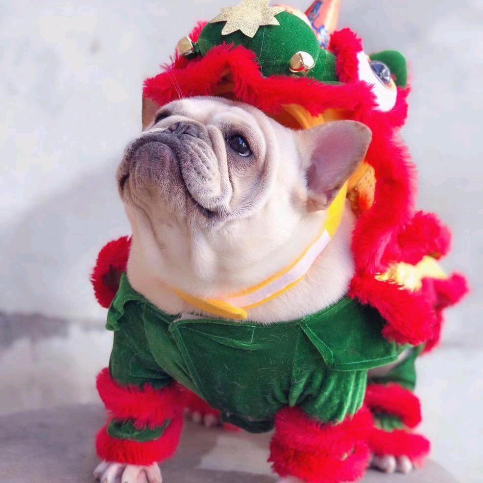 波哥溜达串
