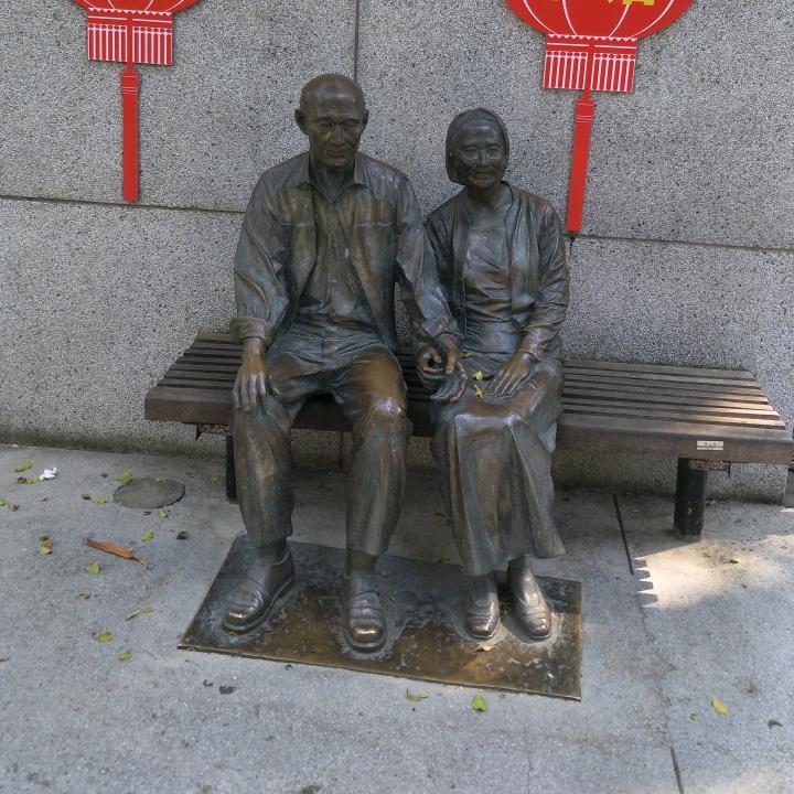 是树不懂爱，还是风的无情
