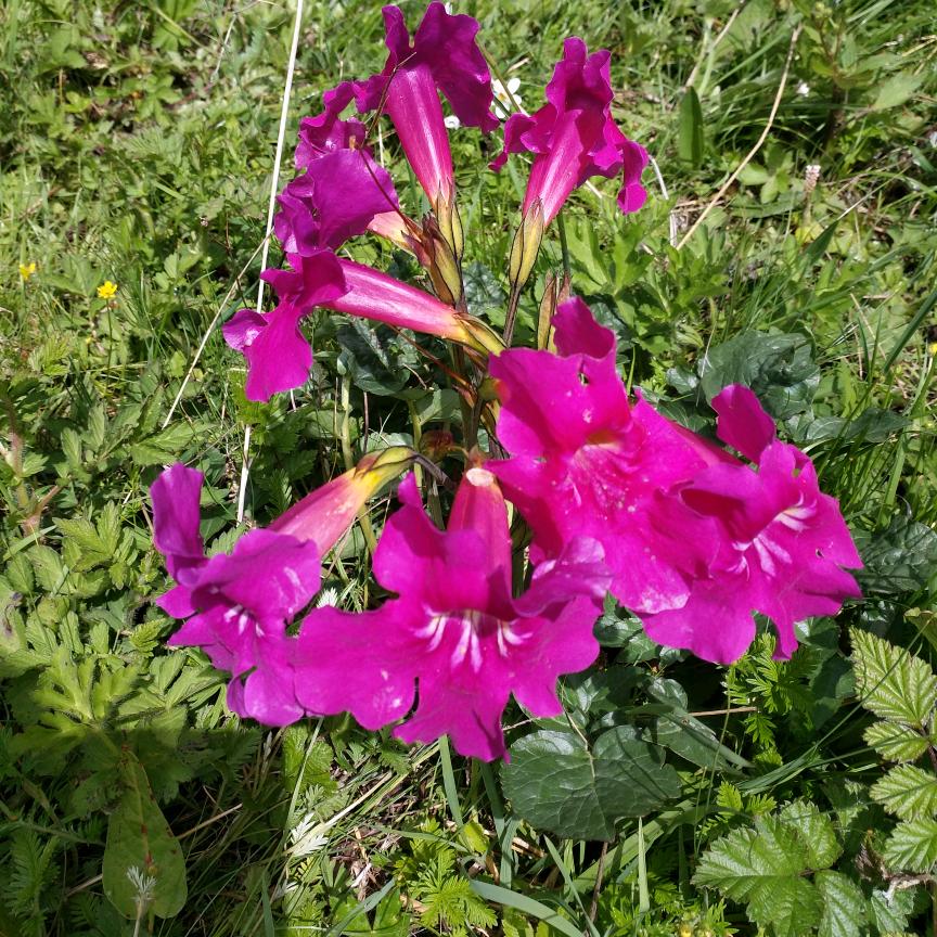 一米阳光🌸