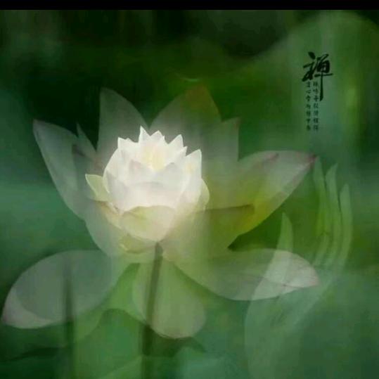 玄灵子