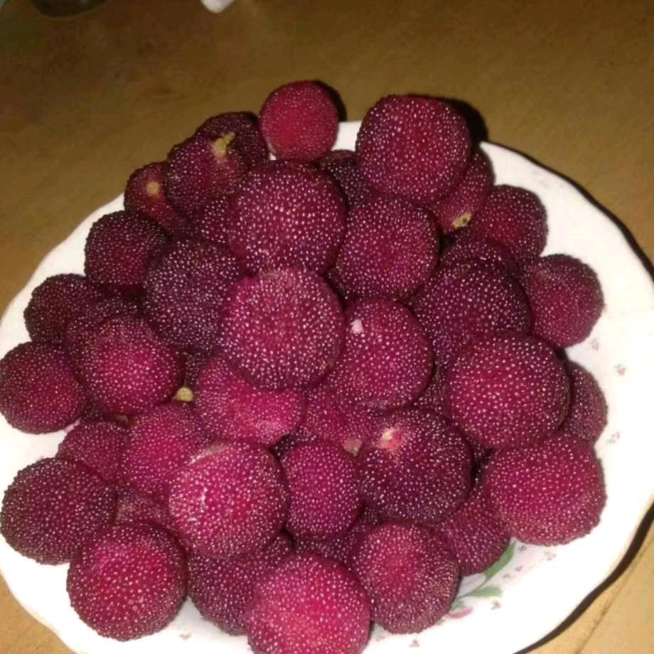 明天会更好5687120175862