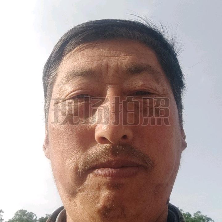 七歩沟生态蜂业