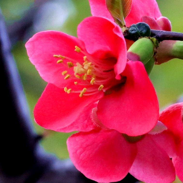 我和明明的区别