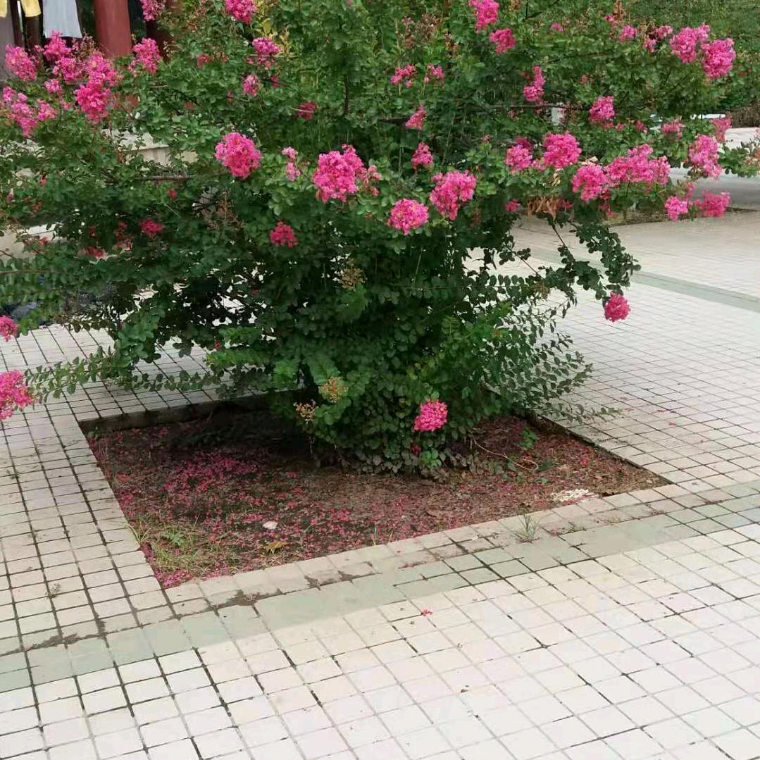 爱你无悔《13521328222