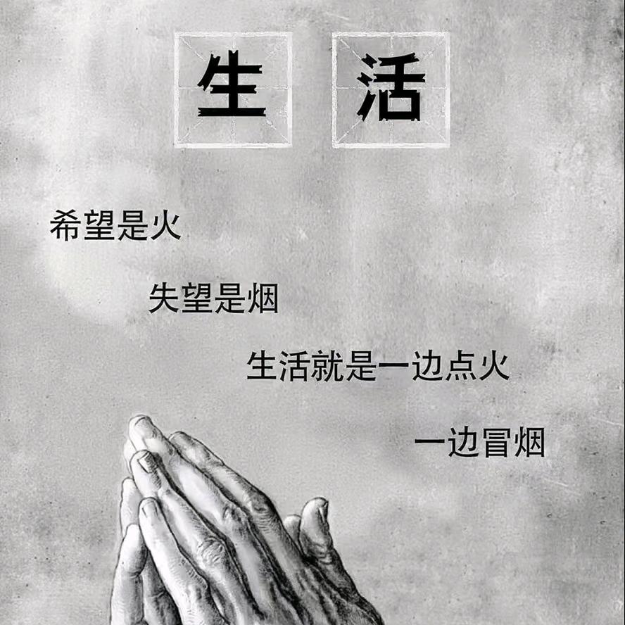 懒🐑🐑