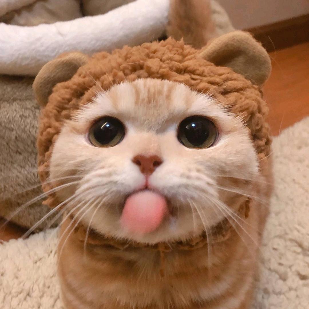 bzsljsmyxgs