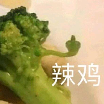 团团不是圆圆