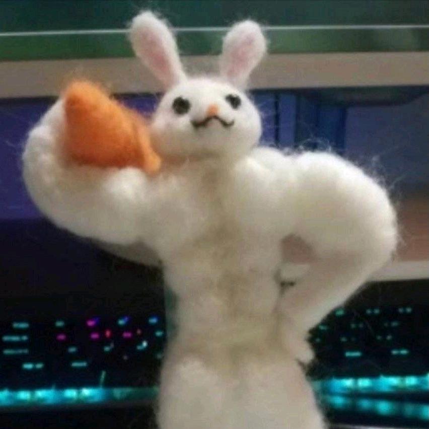 豌豆弗