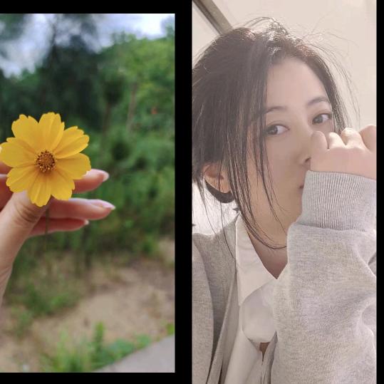 Lynda 汪汪