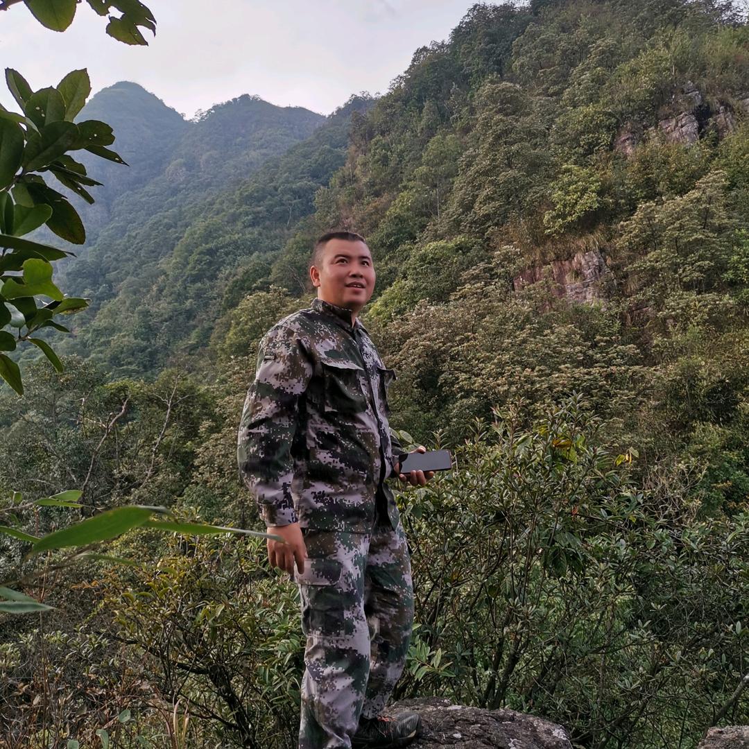 金哥《农航汇》振兴淡木