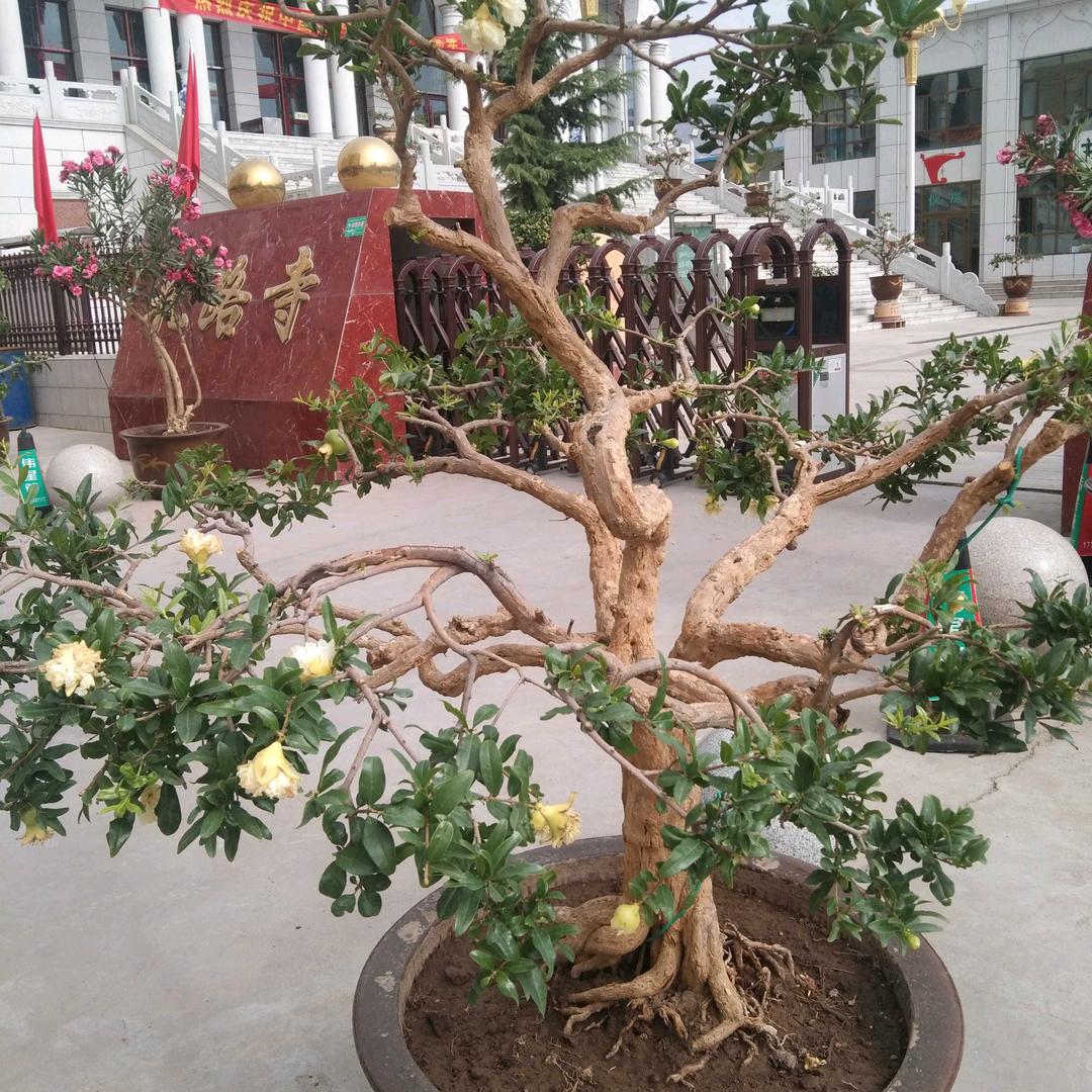 珍惜该珍惜的人