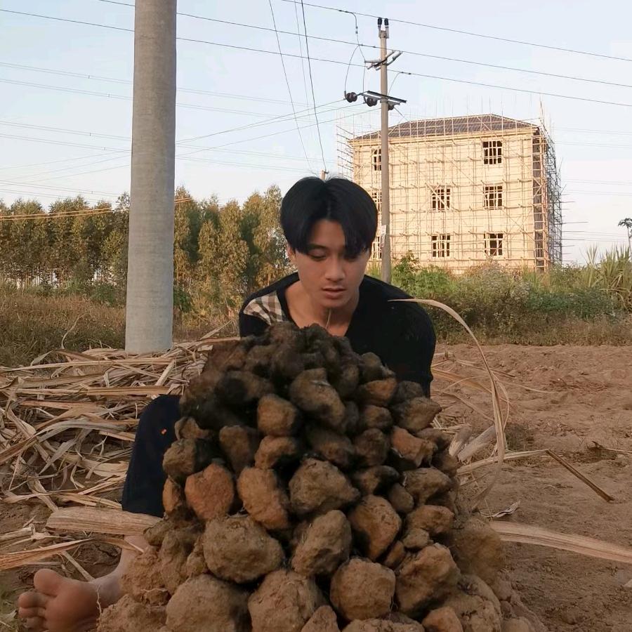 湛江拎壶冲