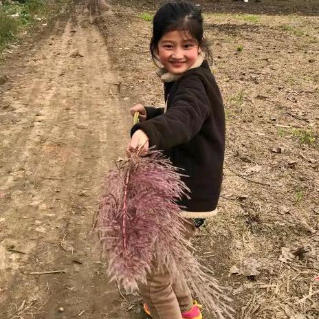 卖苏州房子的姐姐