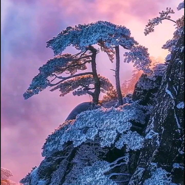 辉哥美景《回礼》