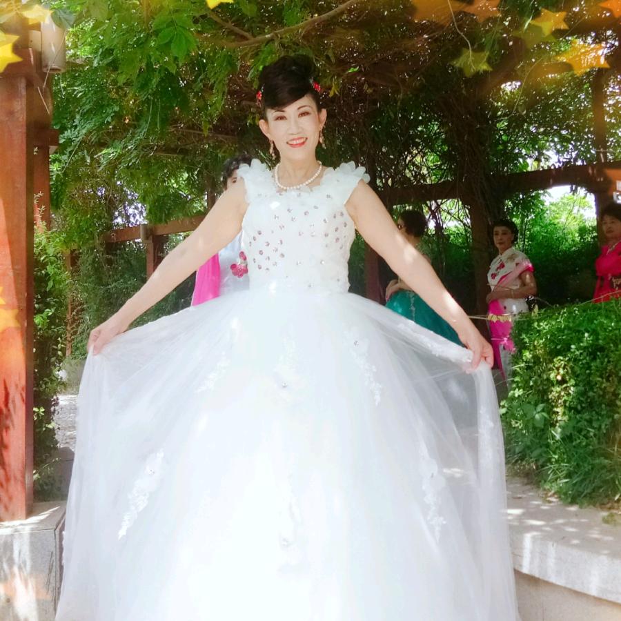 云中白鹤