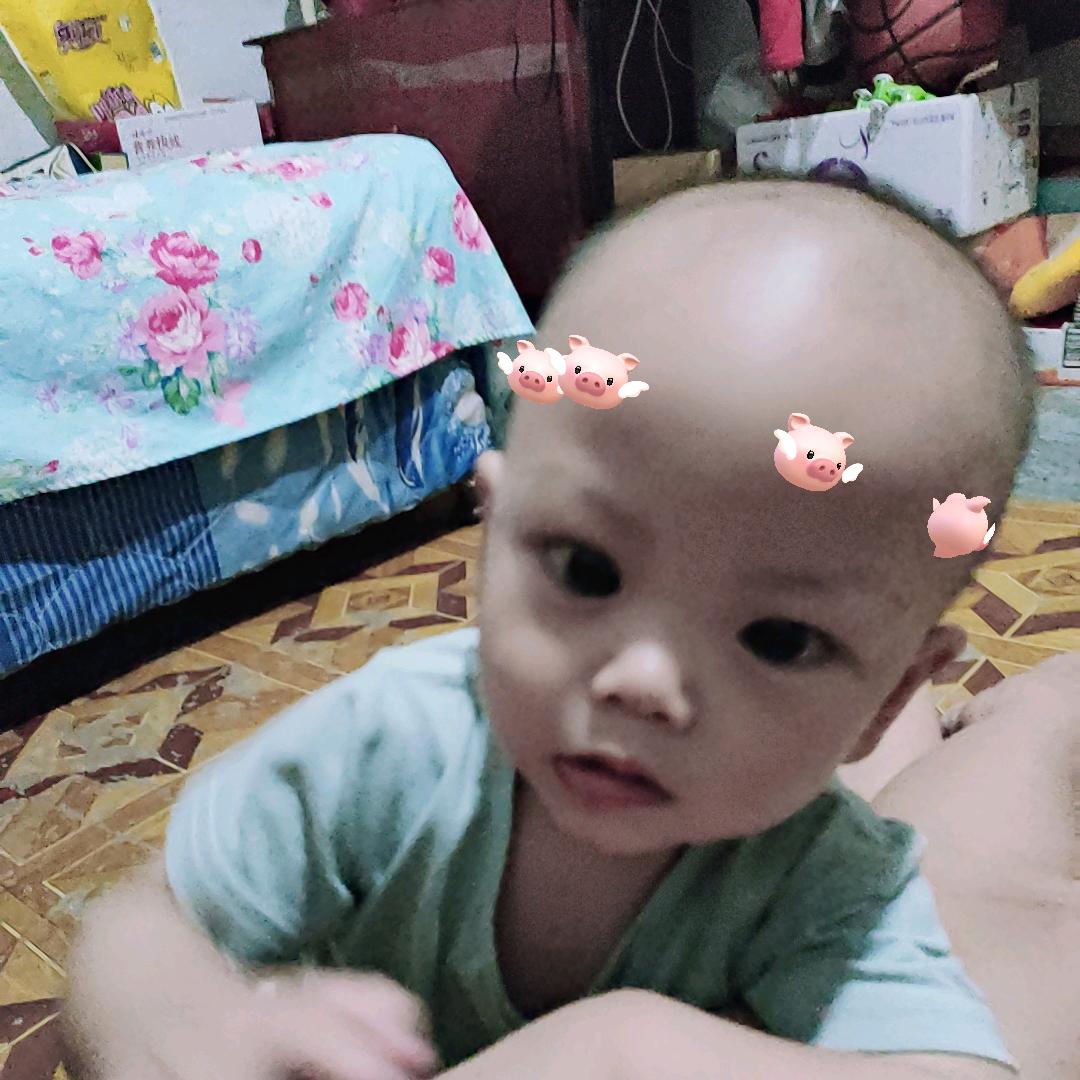开心果