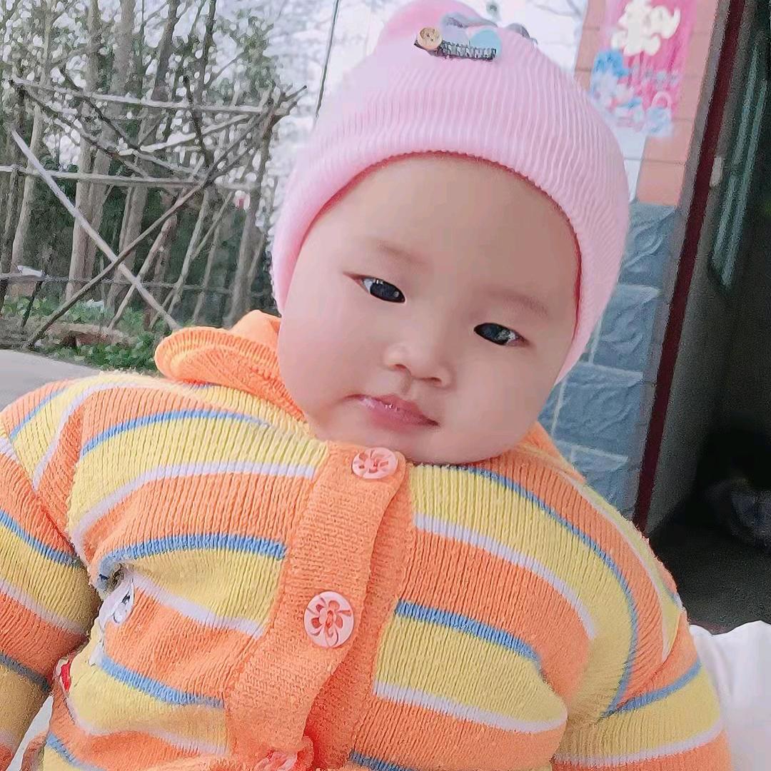 Peiqi Zhang