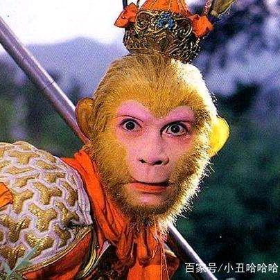 渔司令（为你探钓）