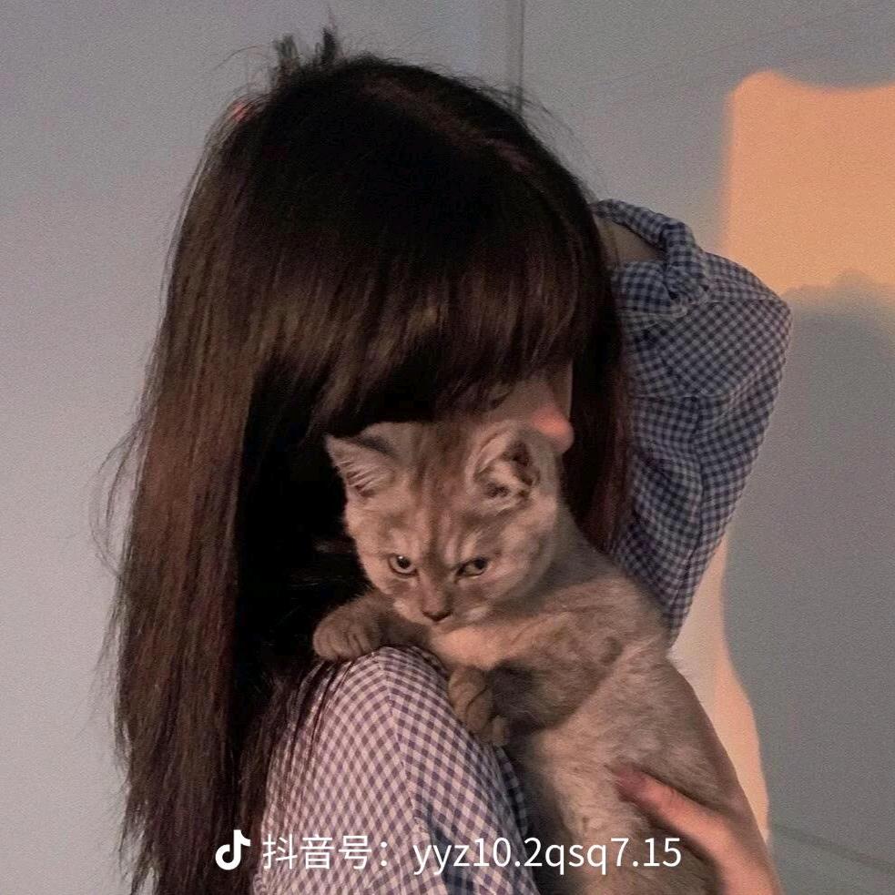 平安宋(   ˊ ᵕ ˋ 💦)