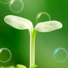 蓝色眼泪🇨🇳🇨🇳