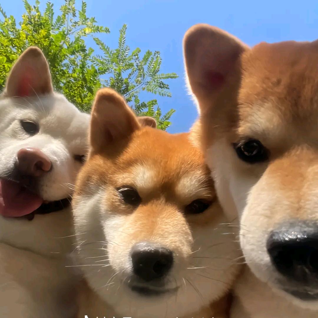 🤗🤗🤗🤗🤗🤗