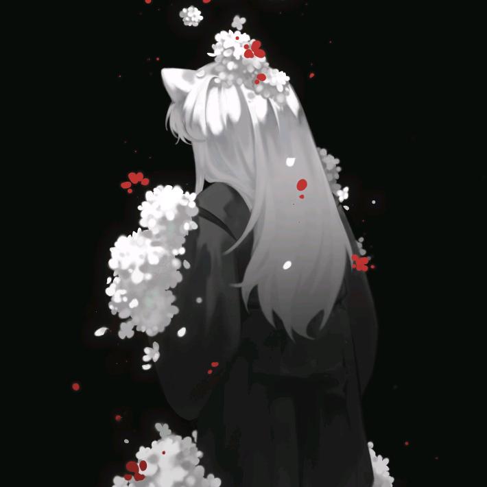 白马纵少年