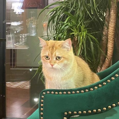 热心市民李女士