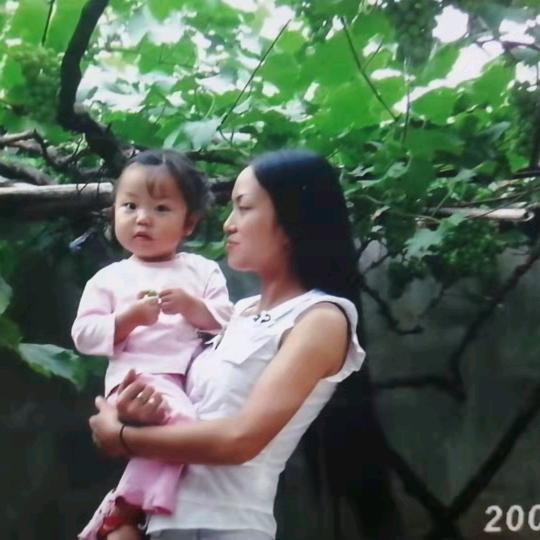 自由飞翔