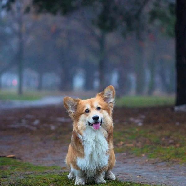 过路